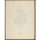 H Beard Print Collection (Print)