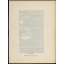 H Beard Print Collection (Print)