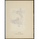H Beard Print Collection (Print)