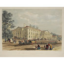 H Beard Print Collection (Print)