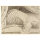 Drawing - Half-length anatomical study of a man, drawn from a dissected corpse Drawing - Half-length anatomical study of a man, drawn from a dissected corpse
