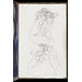 Sketch book