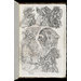 Sketch book