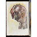 Sketch book