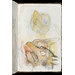 Sketch book