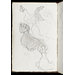 Sketch book