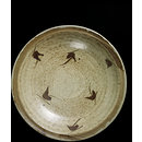 Dish