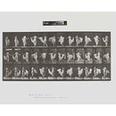 Photograph - Woman dancing; Animal Locomotion Photograph - Woman dancing; Animal Locomotion