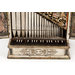 Positive organ
