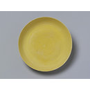 Dish