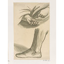 Drawing - Raphael Cartoons