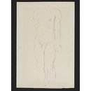 male nude (Drawing)