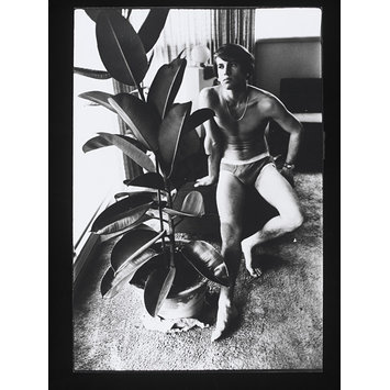 Photograph - 'Peter Schlesinger'.
