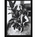 Photograph - 'Peter Schlesinger'.