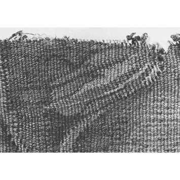 Tapestry fragments Tapestry fragments