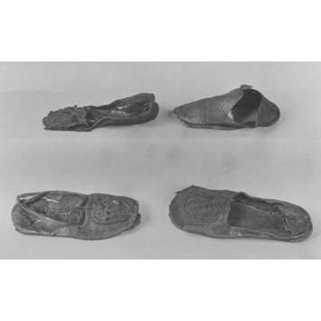 Shoe