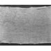 Petticoat