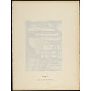 H Beard Print Collection (Print)