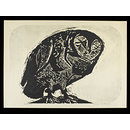 Owl (Print)