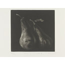 Print - Study of two pears IV Print - Study of two pears IV