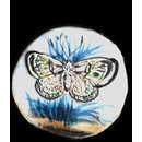 One of twenty-six ivory buttons painted with butterflies. (Button)