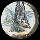 One of twenty-six ivory buttons painted with butterflies. (Button)