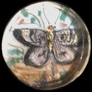 One of twenty-six ivory buttons painted with butterflies. (Button)