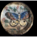 One of twenty-six ivory buttons painted with butterflies. (Button)