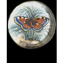 One of twenty-six ivory buttons painted with butterflies. (Button)