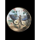 One of twenty-six ivory buttons painted with butterflies. (Button)