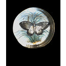 One of twenty-six ivory buttons painted with butterflies. (Button)
