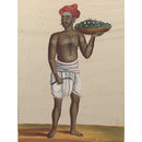 One of seventy-two paintings of occupations. (Painting)