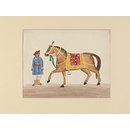 A horse and groom (Drawing)