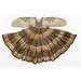 Dress - Kaftan Style Dress; Knitted Circle