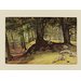 Watercolour - Parkhurst Woods, Abinger, Surrey Watercolour - Parkhurst Woods, Abinger, Surrey