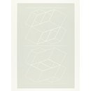 Plate 6 from the suite of ten entitled 'White Embossing on Gray'. (Print)