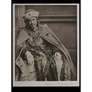 H Beard Print Collection (Print)