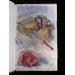 Sketch book