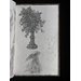 Sketch book