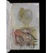 Sketch book