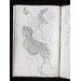 Sketch book