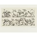 Friezes of ornament with birds (Print) Friezes of ornament with birds (Print)