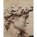 Plaster cast - David Plaster cast - David