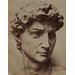 Plaster cast - David Plaster cast - David