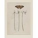 Watercolour - A Common Mallow and a Damselfly; Snowdrops with a Lady Butterfly