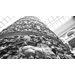 Column - Trajan's column Column - Trajan's column