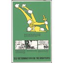 Self-determination for the Irish People (Poster)