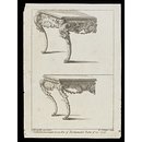Sixty different sorts of ornaments (Print)