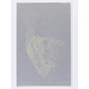 Untitled (Illustration)
