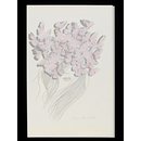 Untitled  (Illustration)